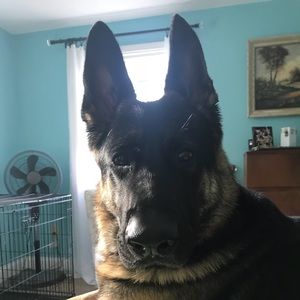 Meet your Posher, Jenna